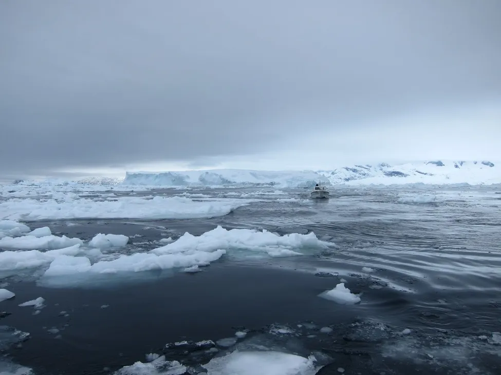 Klicka för att förstora