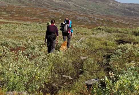 En fjällvandringsklassiker med twist