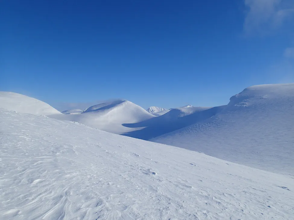Klicka för att förstora