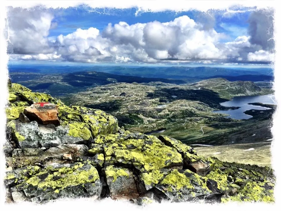 Klicka för att förstora