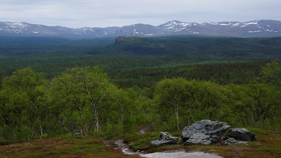 Klicka för att förstora