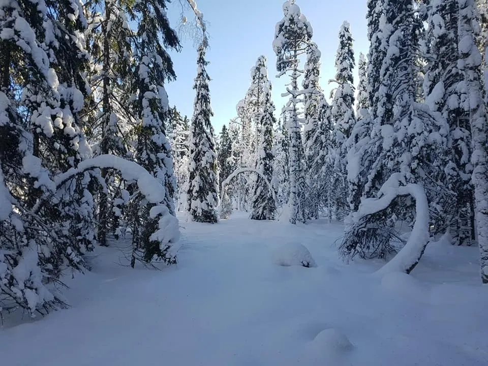 Klicka för att förstora