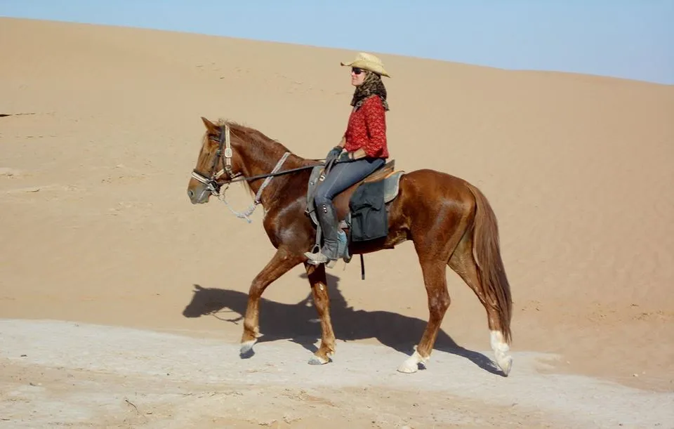 Klicka för att förstora