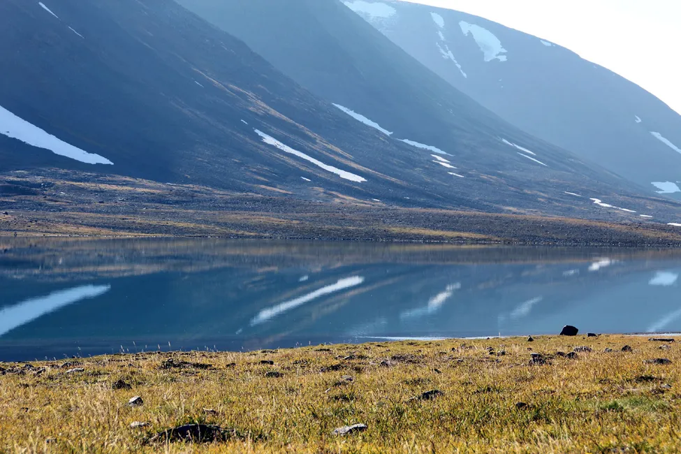 Klicka för att förstora
