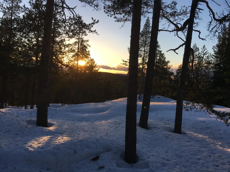 Klicka för att förstora