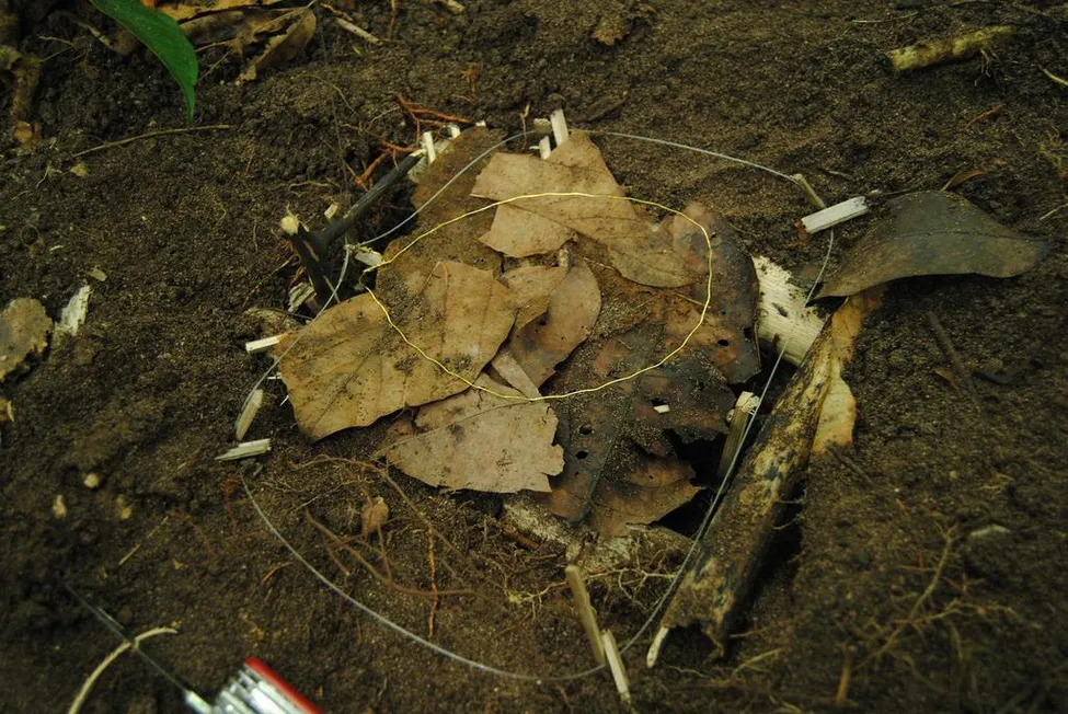 Klicka för att förstora