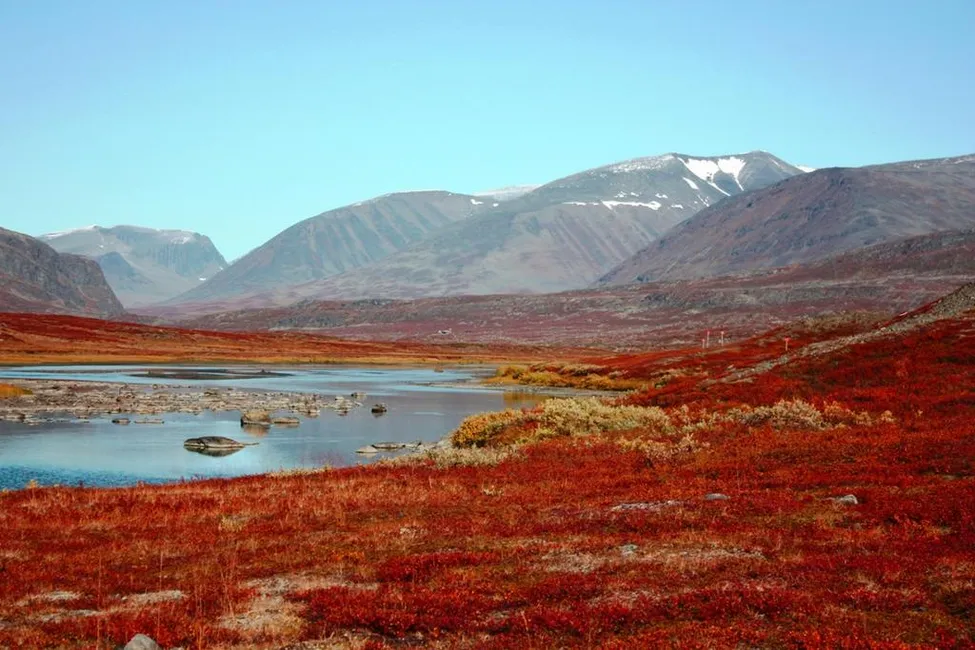 Klicka för att förstora