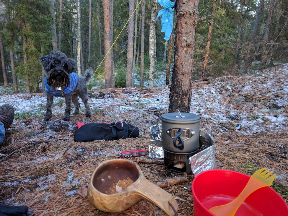 Klicka för att förstora