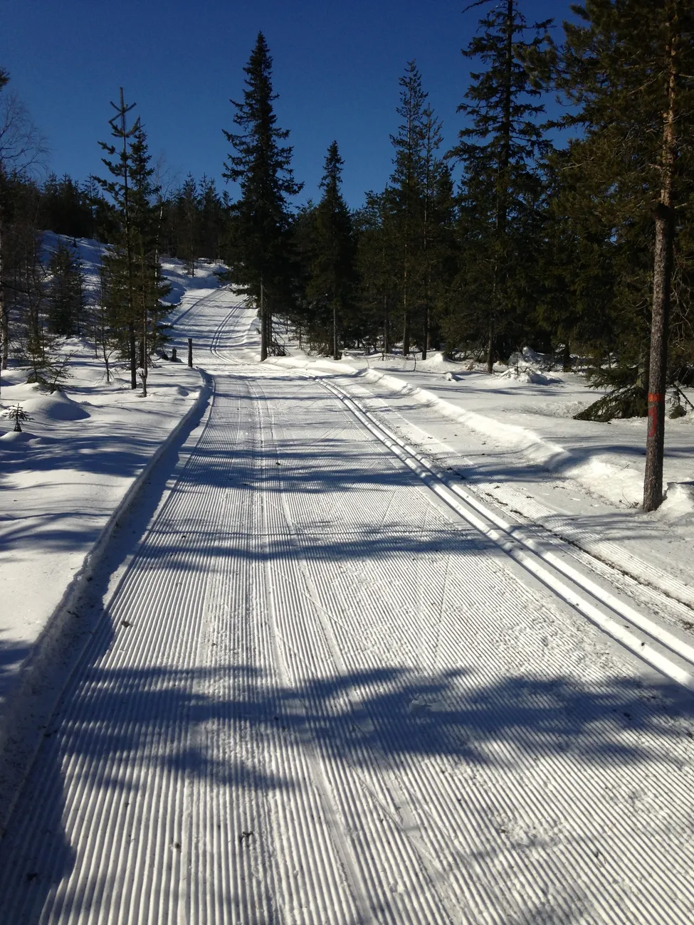 Klicka för att förstora