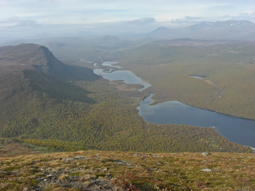 Klicka för att förstora
