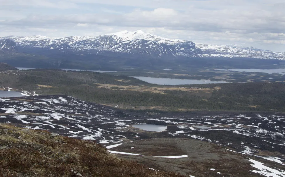 Klicka för att förstora