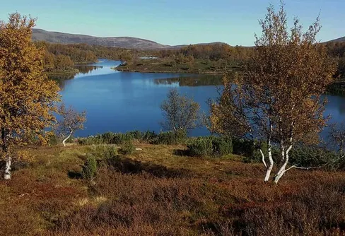 Att börja i fel ände!