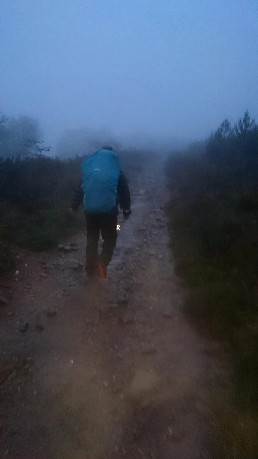 Klicka för att förstora