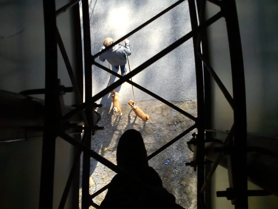 Klicka för att förstora