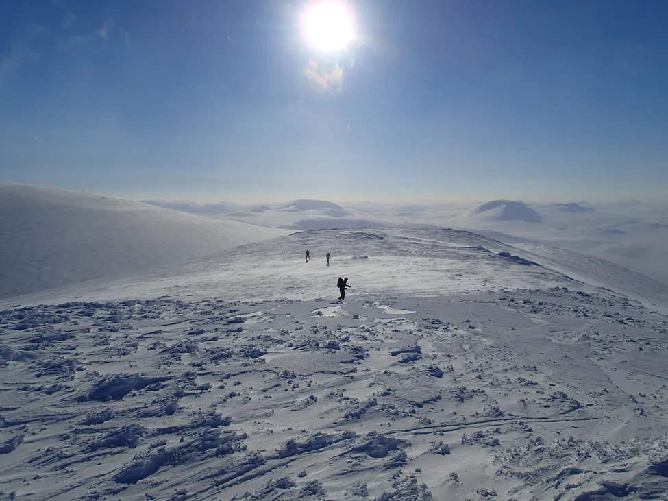 Klicka för att förstora