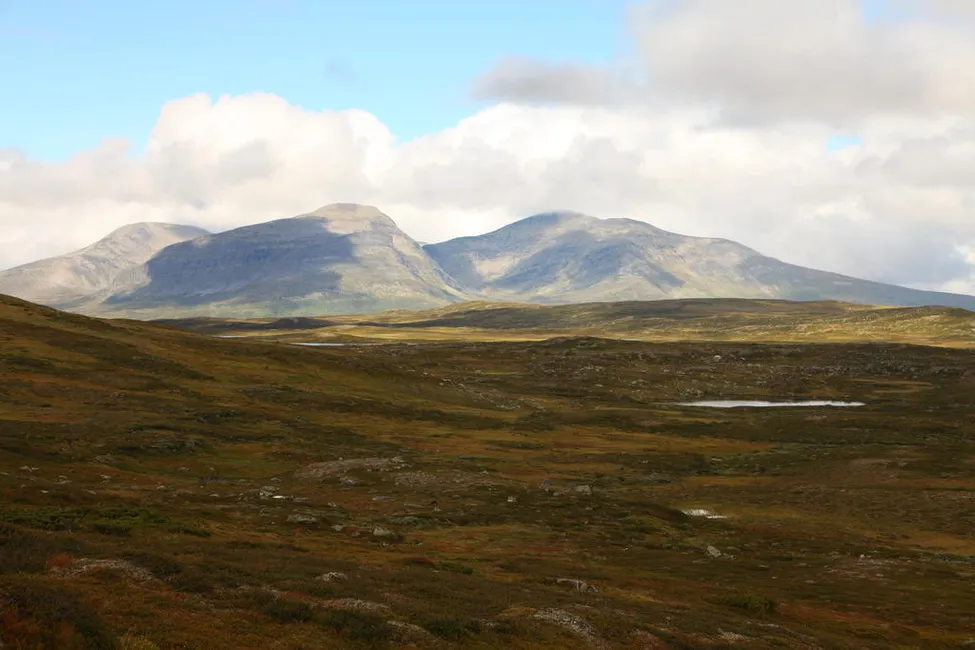 Klicka för att förstora
