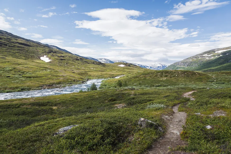 Klicka för att förstora