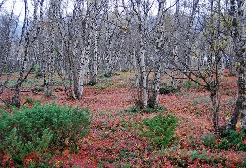 3 avgörande förutsättningar för att klara hösten 2012
