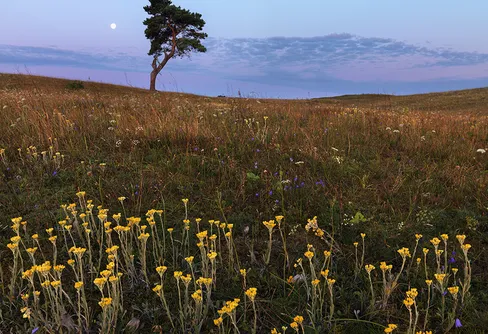 Sommarens fotoutrustningstips