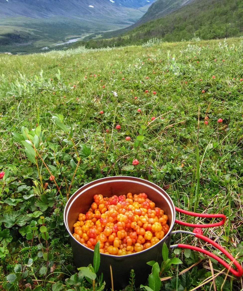 Klicka för att förstora
