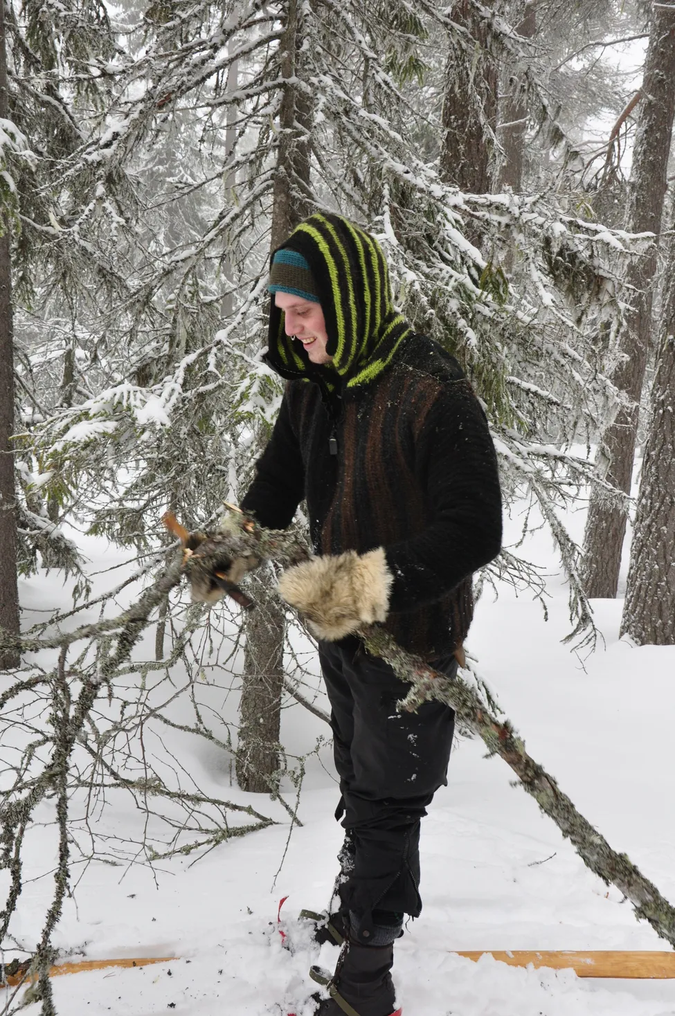 Klicka för att förstora