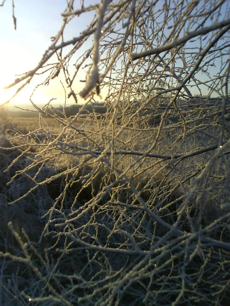 Klicka för att förstora