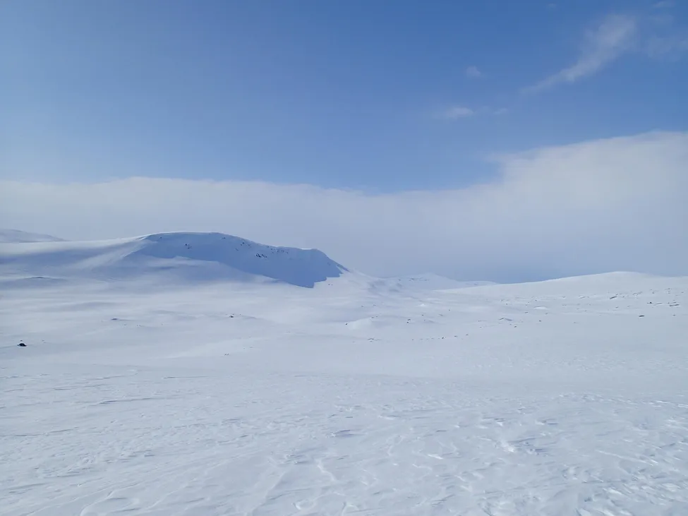 Klicka för att förstora