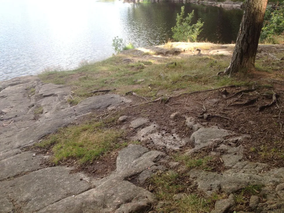 Klicka för att förstora