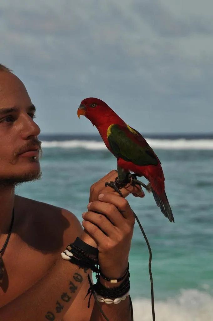 Klicka för att förstora