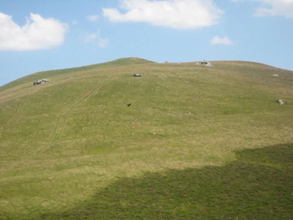 Klicka för att förstora