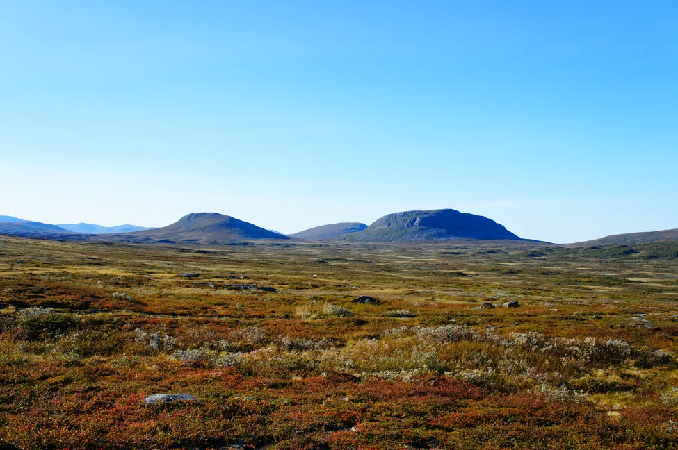 Klicka för att förstora