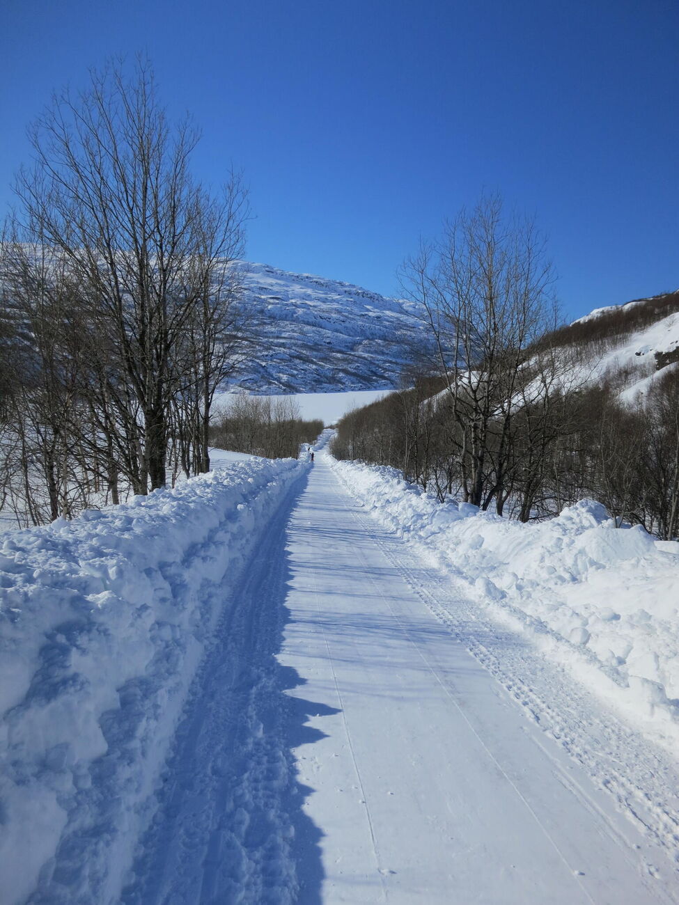 Klicka för att förstora