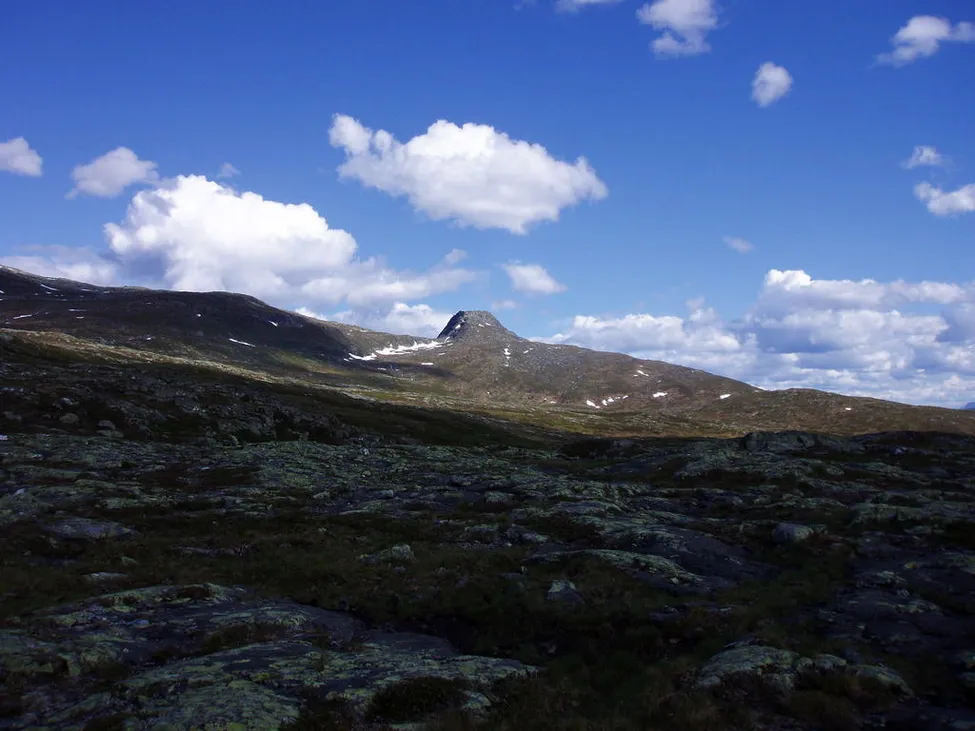 Klicka för att förstora