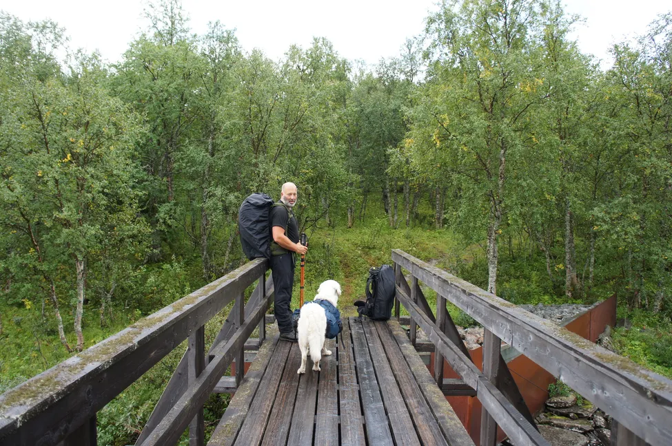 Klicka för att förstora