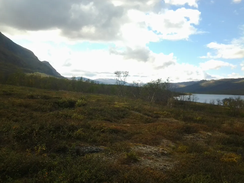 Klicka för att förstora