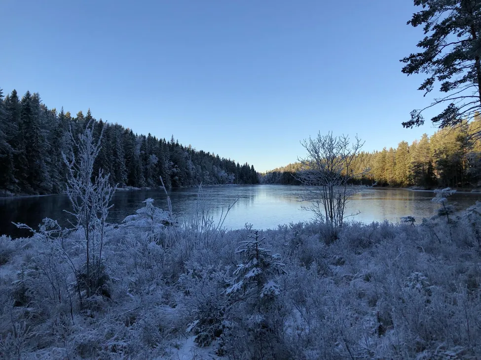 Klicka för att förstora