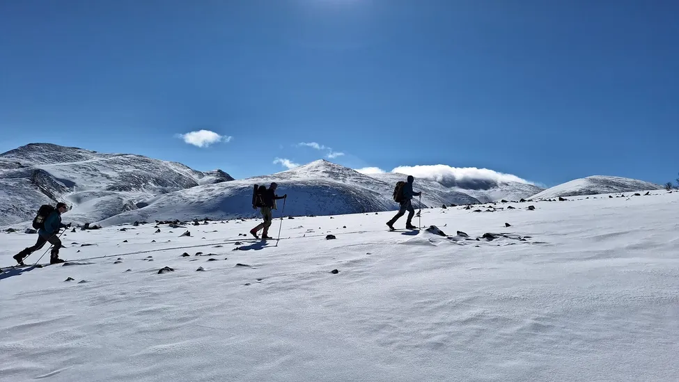 Klicka för att förstora