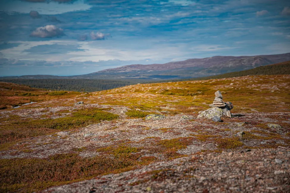 Klicka för att förstora