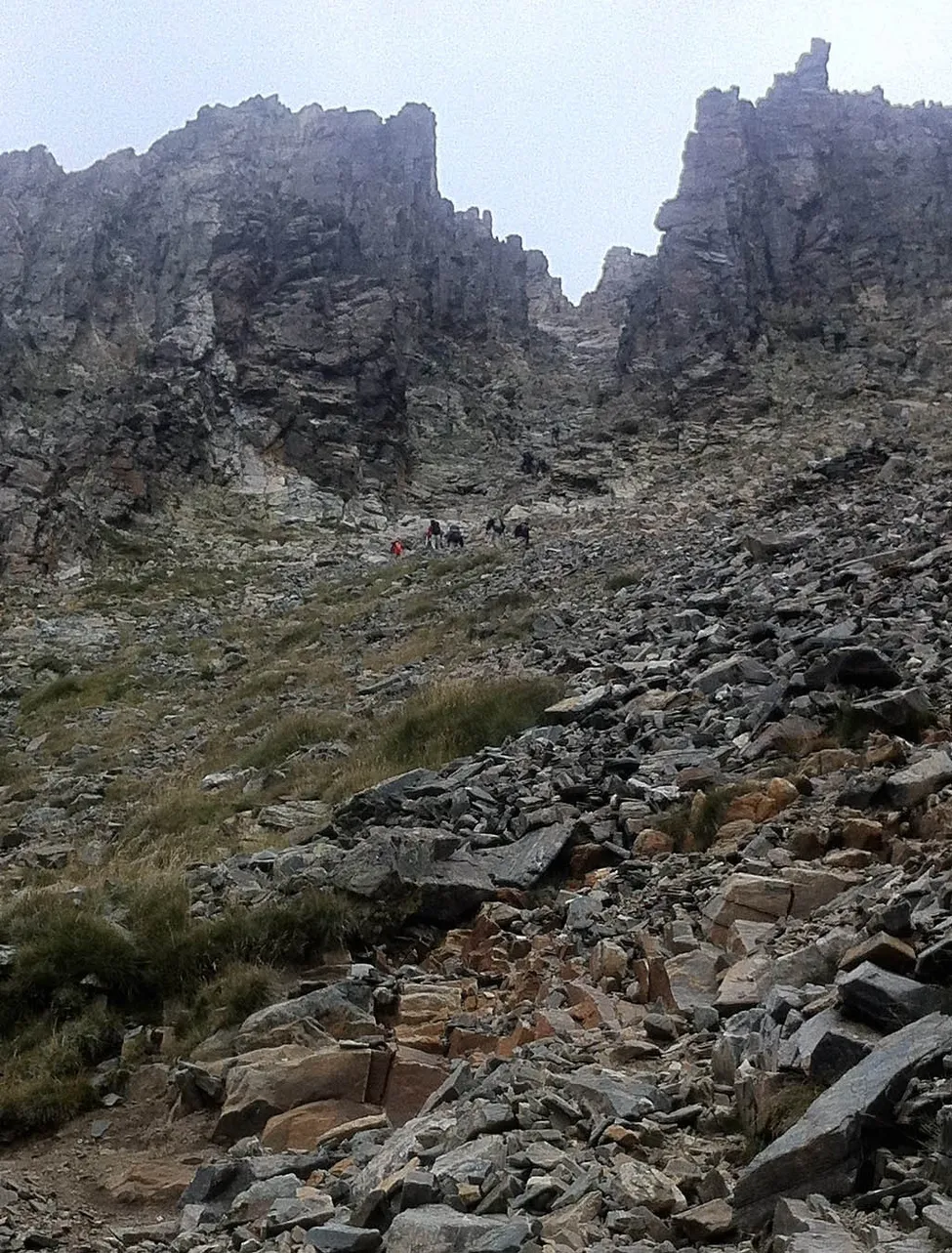 Klicka för att förstora