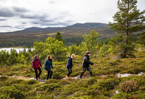 Hela Sverige samlas i ett nationellt ramverk för vandringsturismleder