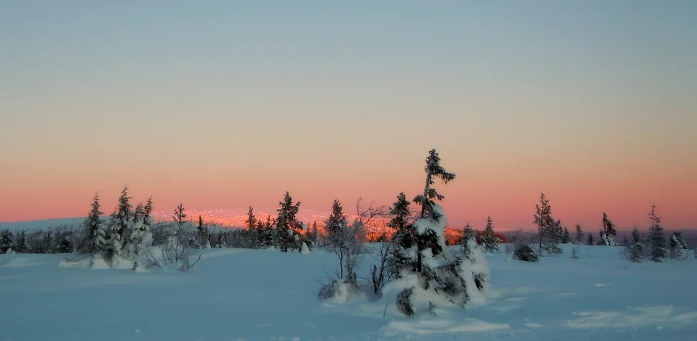 Klicka för att förstora