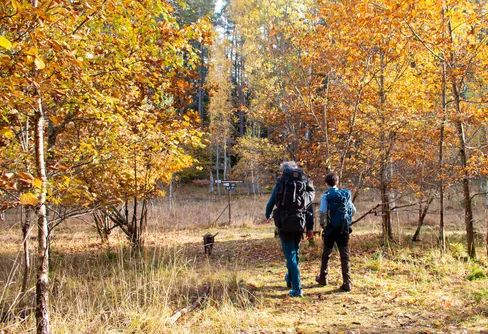 Fem favoriter: Vattentäta vandringsskor för svenska hösten