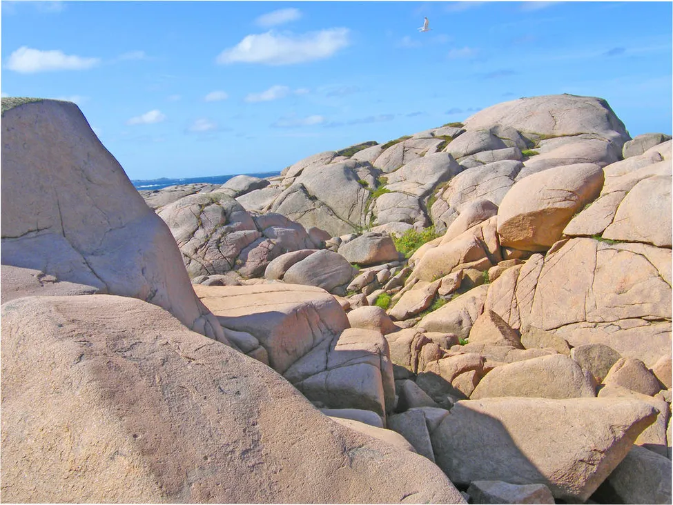 Klicka för att förstora