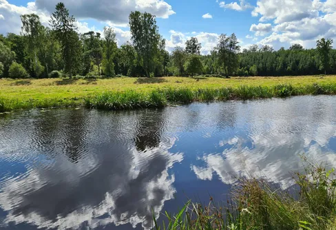 Paddling på Rönne å
