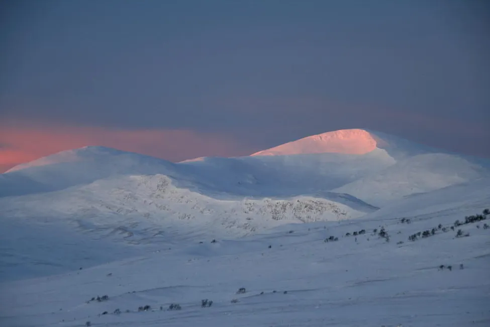 Klicka för att förstora