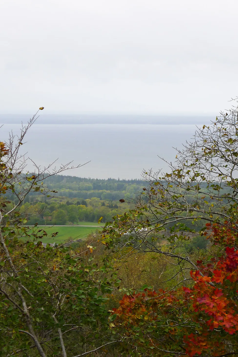Klicka för att förstora
