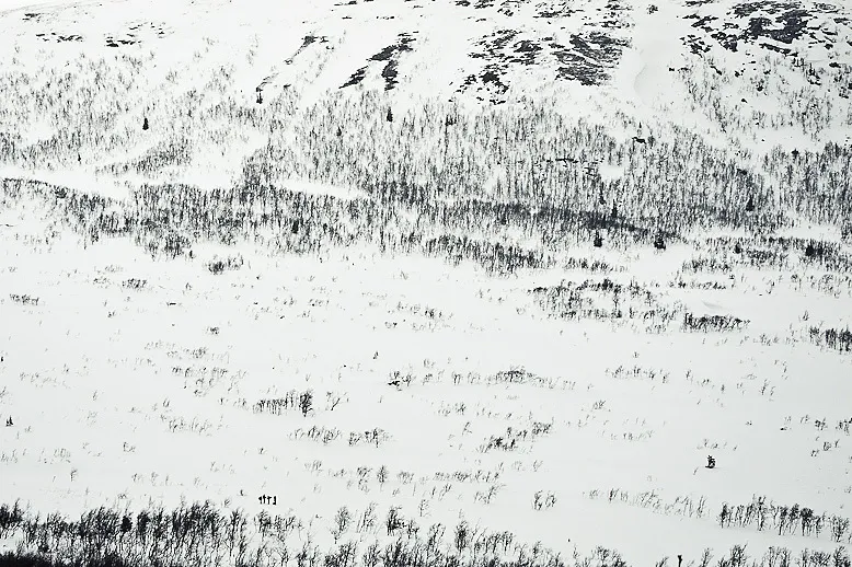 Klicka för att förstora