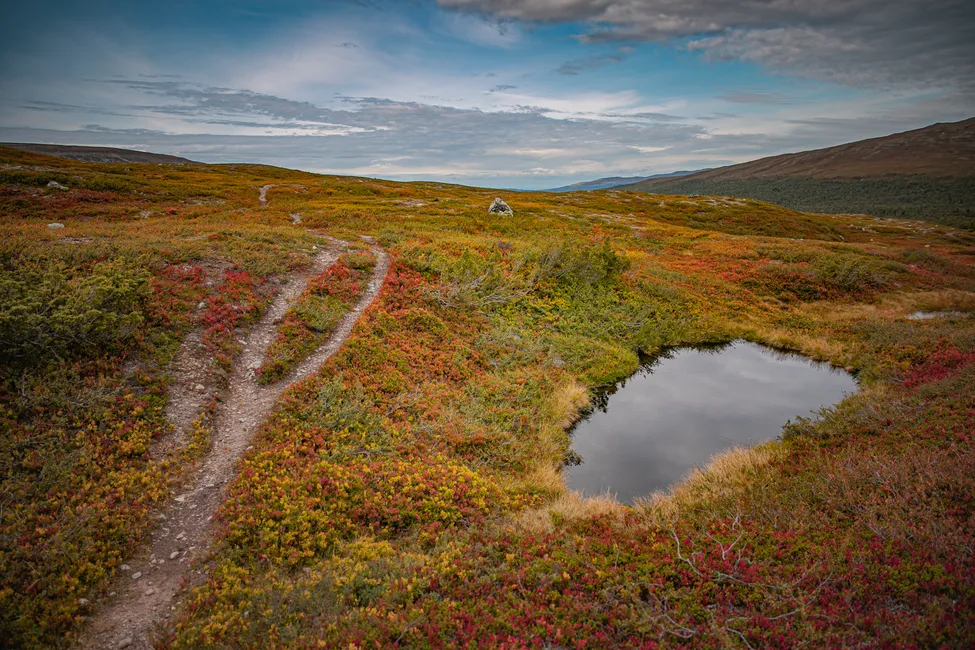 Klicka för att förstora