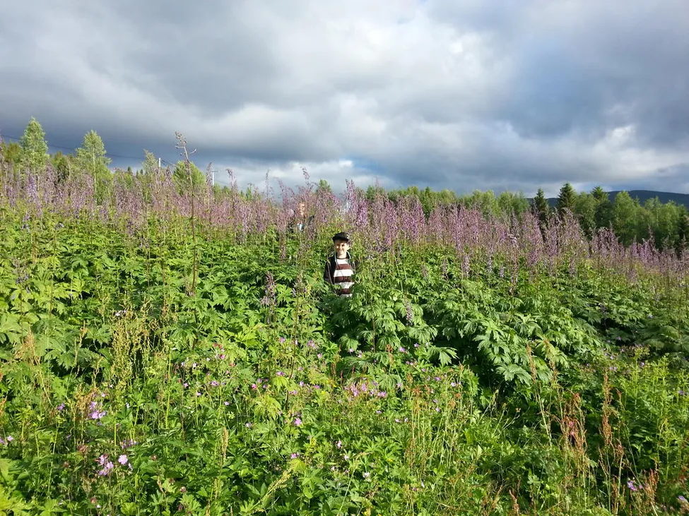 Klicka för att förstora