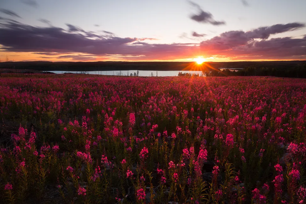 Klicka för att förstora